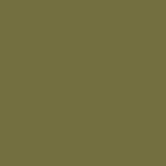 Custom Dark Olive Green Color